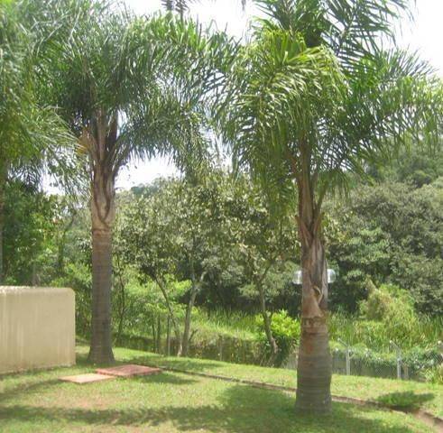 Apartamento, 2 quartos, 45 m² - Foto 26