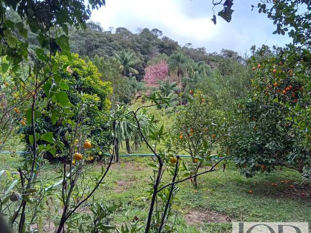 Terreno para Venda em Itapevi - 4